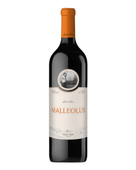 Malleolus